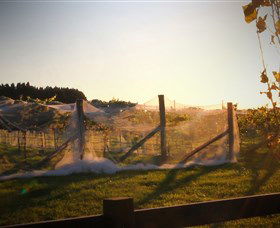Bendooley Estate Book Barn - Accommodation Australia 2