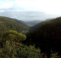 Nattai Gorge Lookout - Accommodation Australia