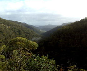 Nattai Gorge Lookout - Accommodation Australia 0