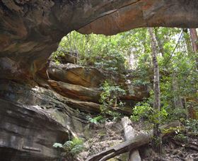 Cave Creek Walking Track - Accommodation Australia 0
