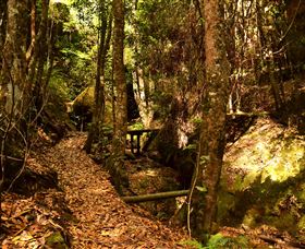 Cave Creek Walking Track - Accommodation Australia 2