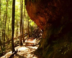 Cave Creek Walking Track - Accommodation Australia 1