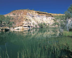 Ellendale Pool - Australia Shopping 0
