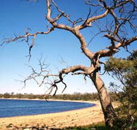 Lake Indoon - Accommodation Australia