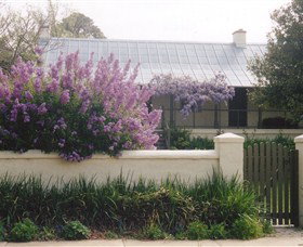 Lambie Town Walk - Australia Shopping 4