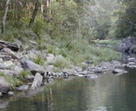 Bellthorpe National Park - Local Tourism 1