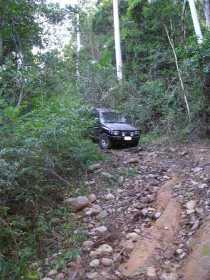 Bellthorpe National Park - Local Tourism 3