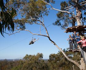TreeTop Safari - Local Tourism 0