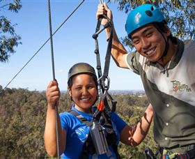 TreeTop Safari - Local Tourism 1