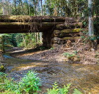 Myrtle Scrub scenic drive - Accommodation Australia