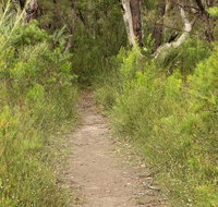 Three Views walking track - Local Tourism