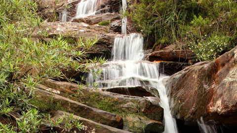 Popran National Park - Accommodation Australia 1