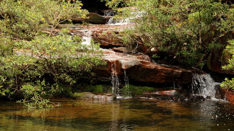 Popran National Park - Accommodation Australia 2