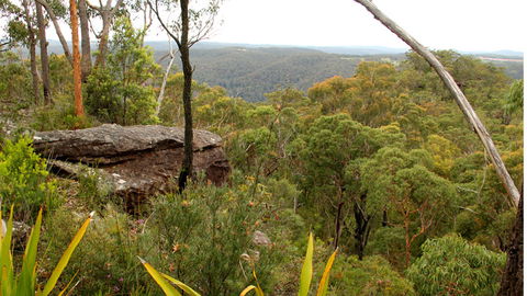 Popran National Park - Accommodation Australia 3