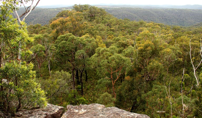 Mangrove Mountain NSW Accommodation Australia
