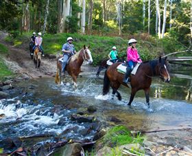 Glenworth Valley Horse Riding - Accommodation Australia 1