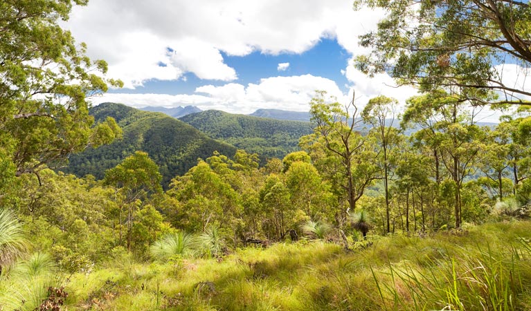 Roseberry Creek ACT Accommodation Australia