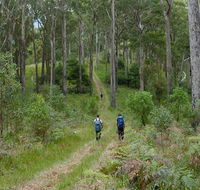 The Green Gully track - Accommodation Australia