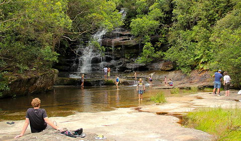 Somersby Falls Picnic Area - Accommodation Australia 0