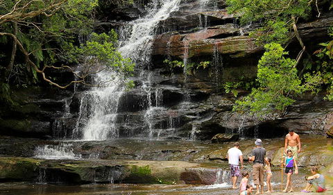 Somersby Falls Picnic Area - Accommodation Australia 2