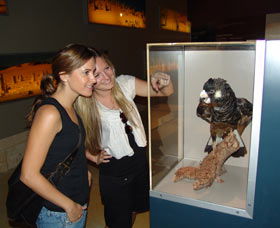 Pinnacles Desert Discovery Centre - Accommodation Australia 2