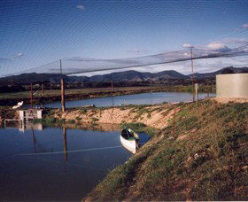 Trudgalong Farm - Local Tourism 1