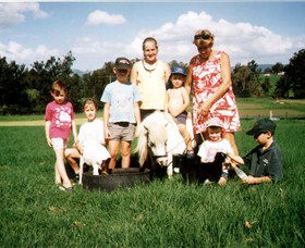 Trudgalong Farm - Local Tourism 2
