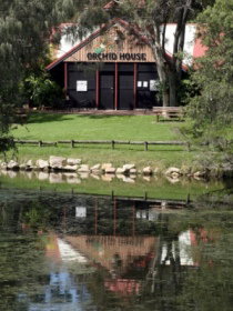 Hervey Bay Botanic Gardens - Australia Shopping 1