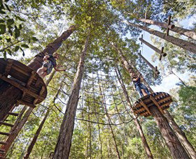 TreeTop Adventure Park Central Coast - Local Tourism 0