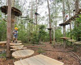 TreeTop Adventure Park Central Coast - Local Tourism 1