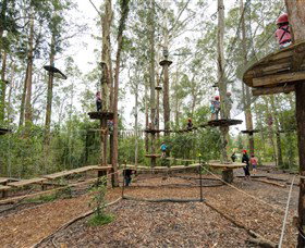 TreeTop Adventure Park Central Coast - Local Tourism 5