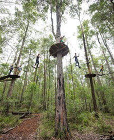 TreeTop Adventure Park Central Coast - Local Tourism 4