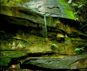 Niagara Park NSW Local Tourism