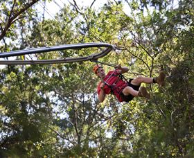 TreeTops Crazy Rider - Local Tourism 1