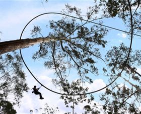 TreeTops Crazy Rider - Local Tourism 0