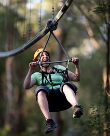 TreeTops Crazy Rider - Local Tourism 2