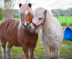 Amazement Farm And Fun Park / Cafe And Farmstay Accommodation - Accommodation Australia 5
