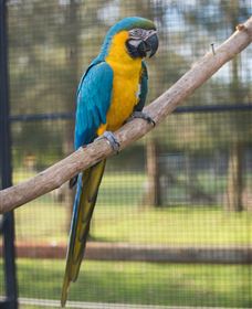 Amazement Farm And Fun Park / Cafe And Farmstay Accommodation - Accommodation Australia 8