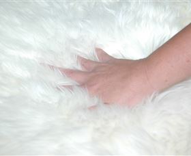 Mortels Sheepskin Factory - Accommodation Australia 4