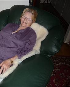 Mortels Sheepskin Factory - Accommodation Australia 6