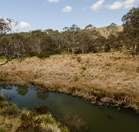 Werrikimbe National Park - Accommodation Australia