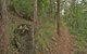Border Loop Walk - thumb 0