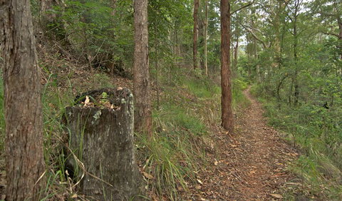 Border Loop Walk - Accommodation Australia 0