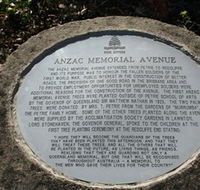 Anzac Memorial Avenue Redcliffe - Local Tourism