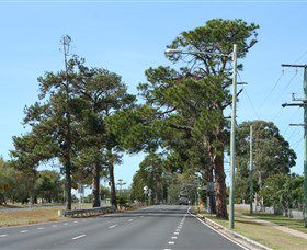 Anzac Memorial Avenue, Redcliffe - Accommodation Australia 2
