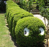 Nutcote - May Gibbs' Home - House Museum - Accommodation Australia