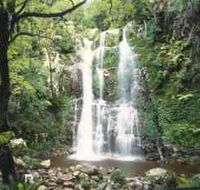 Budderoo National Park - The Falls Walk - Local Tourism