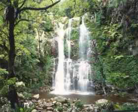 Budderoo National Park - The Falls Walk - Accommodation Australia 0