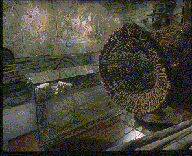 Australian Museum - Accommodation Australia 3