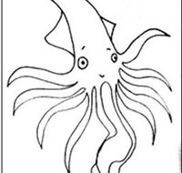 Squid Studio - Accommodation Australia